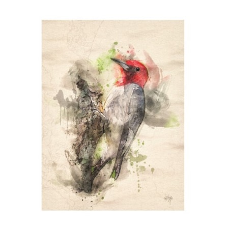 Lois Bryan 'Red Headed Woodpecker' Canvas Art,14x19